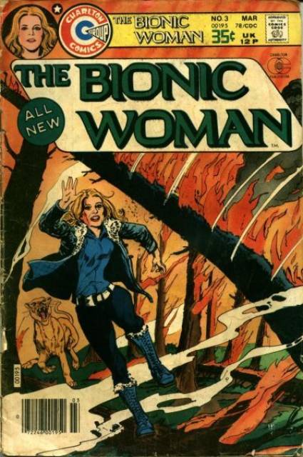 Bionic Woman #3 comic cover