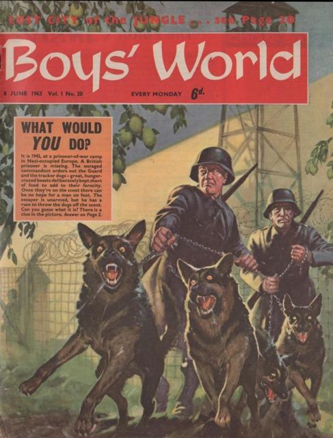 Boys World Vol 1 #20 comic cover