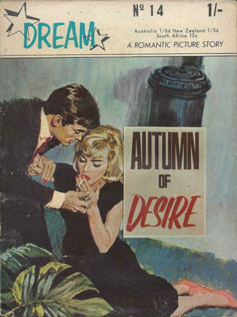 Dream A Romantic Picture Story #14 comic cover