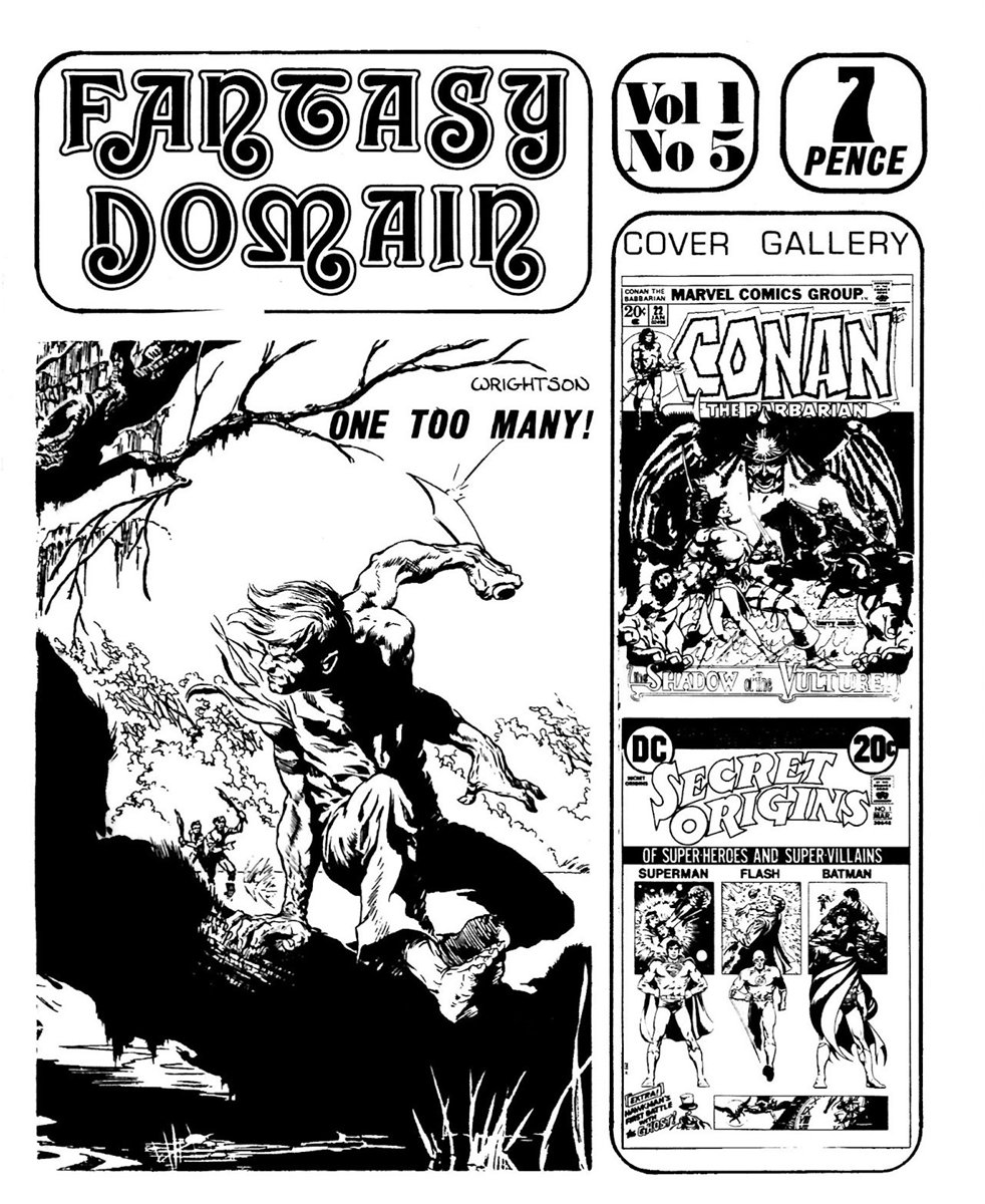 Fantasy Domain #5 comic cover