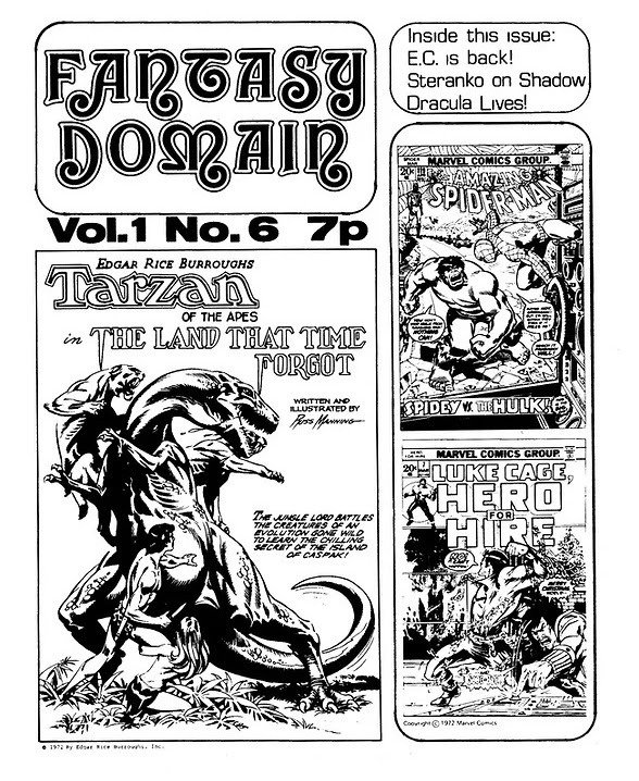 Fantasy Domain #6 comic cover
