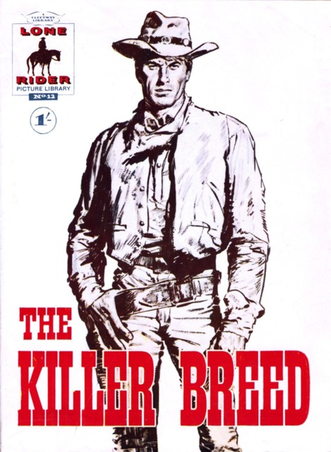 Lone Rider Picture Library #12 comic cover
