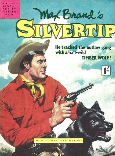 Picture Story Pocket Western #14 comic cover