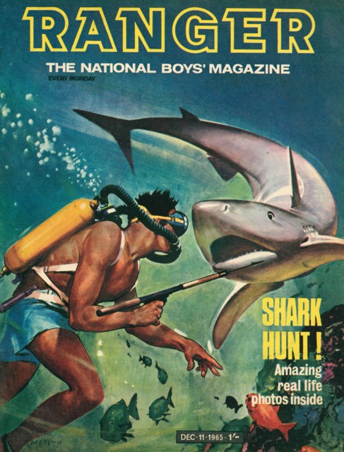Ranger comic 13 comic cover