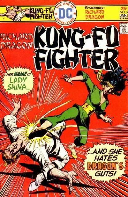 Richard Dragon Kung Fu Fighter #5 comic cover