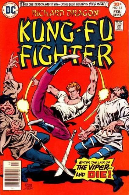 Richard Dragon Kung Fu Fighter #13 comic cover